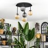 Chehalis Plafoniera, Lampada a sfera Ambrato, Cromo, Grigio fumo, 5-Luci