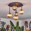 Chehalis Plafoniera, Lampada a sfera Ambrato, Cromo, Grigio fumo, 5-Luci