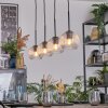 Koyoto Lampadario a sospensione, Lampada a sfera, Lampada a sospensione Chiaro, 4-Luci