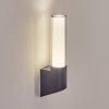 Isara Lampada da parete per esterno, Applique LED Antracite, 1-Luce