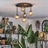 Chehalis Plafoniera, Lampada a sfera 39.5 cm Ambrato, Grigio fumo, 5-Luci