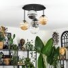 Chehalis Plafoniera, Lampada a sfera Ambrato, Chiaro, Grigio fumo, 5-Luci