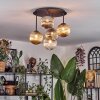Chehalis Plafoniera, Lampada a sfera Ambrato, Chiaro, Grigio fumo, 5-Luci