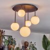 Chehalis Plafoniera, Lampada a sfera Bianco, 5-Luci