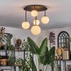 Chehalis Plafoniera, Lampada a sfera Bianco, 5-Luci