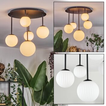 Chehalis Plafoniera, Lampada a sfera Bianco, 5-Luci