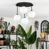 Chehalis Plafoniera, Lampada a sfera Bianco, 5-Luci