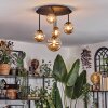 Chehalis Plafoniera, Lampada a sfera 42.5 cm Ambrato, 5-Luci