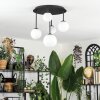 Chehalis Plafoniera, Lampada a sfera 42.5 cm Bianco, 5-Luci