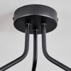 Koyoto Plafoniera, Lampada a sfera Ambrato, Chiaro, 3-Luci