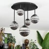 Chehalis Plafoniera, Lampada a sfera Grigio fumo, 5-Luci