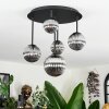 Chehalis Plafoniera, Lampada a sfera Grigio fumo, 5-Luci
