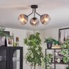 Koyoto Plafoniera, Lampada a sfera Chiaro, Grigio fumo, 3-Luci