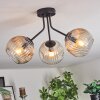 Ripoll Plafoniera, Lampada a sfera Ambrato, Chiaro, 3-Luci
