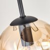 Gastor Plafoniera, Lampada a sfera Ambrato, Grigio fumo, 9-Luci