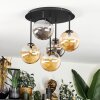 Chehalis Plafoniera, Lampada a sfera Ambrato, Grigio fumo, 5-Luci