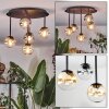 Chehalis Plafoniera, Lampada a sfera Ambrato, Chiaro, Grigio fumo, 5-Luci