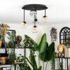 Chehalis Plafoniera, Lampada a sfera Ambrato, Chiaro, Grigio fumo, 5-Luci