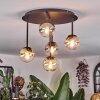 Chehalis Plafoniera, Lampada a sfera Ambrato, Chiaro, Grigio fumo, 5-Luci