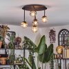 Chehalis Plafoniera, Lampada a sfera Ambrato, Chiaro, Grigio fumo, 5-Luci