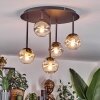 Chehalis Plafoniera, Lampada a sfera Ambrato, Chiaro, Grigio fumo, 5-Luci