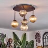 Chehalis Plafoniera, Lampada a sfera Ambrato, Chiaro, Grigio fumo, 5-Luci