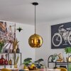 Koyoto Lampadario a sospensione, Lampada a sfera, Lampada a sospensione Oro, Nero, 1-Luce