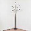 Bassagoda Lampada da terra Cromo, Nero, 5-Luci