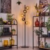 Koyoto Lampada da terra 31 cm Ambrato, Cromo, Grigio fumo, 5-Luci