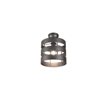 Reality Duncan Plafoniera LED Marrone scuro, Nichel opaco, 1-Luce