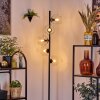 Koyoto Lampada da terra 31 cm Chiaro, 5-Luci