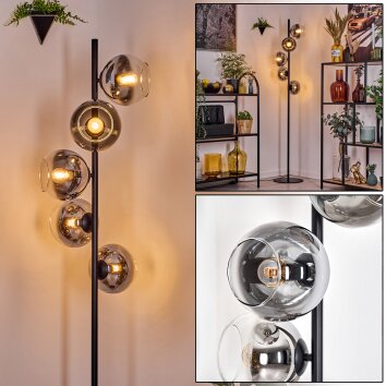 Koyoto Lampada da terra 31 cm Cromo, Chiaro, Grigio fumo, 5-Luci