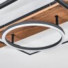 Pompu Plafoniera LED Marrone, Aspetto del legno, Nero, 1-Luce