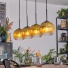 Koyoto Lampadario a sospensione, Lampada a sfera, Lampada a sospensione Oro, Chiaro, 4-Luci