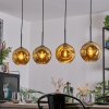 Ripoll Lampadario a sospensione, Lampada a sfera, Lampada a sospensione Oro, 4-Luci