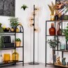 Koyoto Lampada da terra Ambrato, Chiaro, 5-Luci