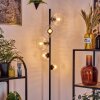 Koyoto Lampada da terra 31 cm Chiaro, 5-Luci