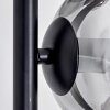 Koyoto Lampada da terra Chiaro, Grigio fumo, 6-Luci