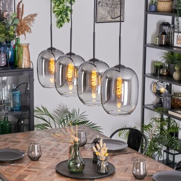 Apedo Lampadario a sospensione, Lampada a sospensione Chiaro, Grigio fumo, 4-Luci