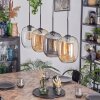 Apedo Lampadario a sospensione, Lampada a sospensione Ambrato, Chiaro, Grigio fumo, 4-Luci