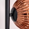Ripoll Lampada da terra Chiaro, Ramato, 6-Luci