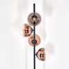 Koyoto Lampada da terra Chiaro, Ramato, 4-Luci