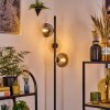 Gastor Lampada da terra 34 cm Ambrato, Chiaro, Grigio fumo, 3-Luci
