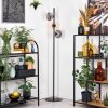 Gastor Lampada da terra 34 cm Ambrato, Chiaro, Grigio fumo, 3-Luci