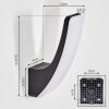 Gilan Lampada da parete per esterno, Applique LED Nero, 1-Luce