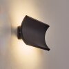Grana Lampada da parete per esterno, Applique LED Nero, 2-Luci