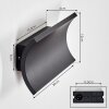 Grana Lampada da parete per esterno, Applique LED Nero, 2-Luci
