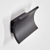 Grana Lampada da parete per esterno, Applique LED Nero, 2-Luci