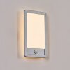 Harel Lampada da parete per esterno, Panel, Applique LED Argento, 1-Luce, Sensori di movimento