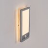 Harel Lampada da parete per esterno, Panel, Applique LED Argento, 1-Luce, Sensori di movimento